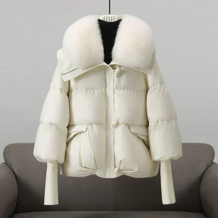 Inde - Manteau Parfait pour l'Automne