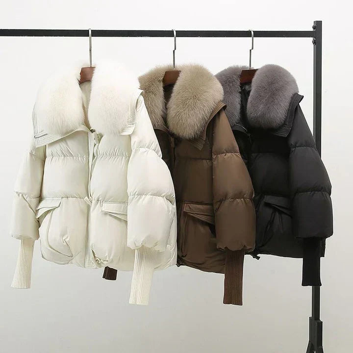 Inde - Manteau Parfait pour l'Automne